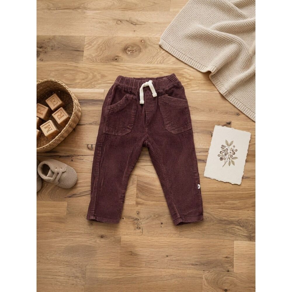 Easy Peasy Corduroy Pants Plum Burgundy Size 18M EUC